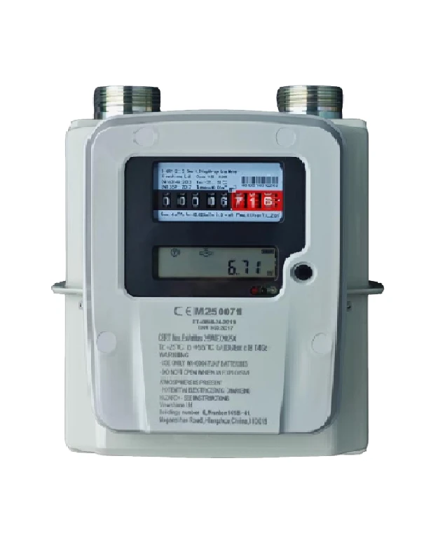 Remote-Reading Diaphragm Gas Meter